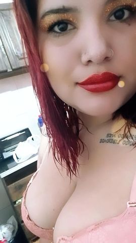 Dama ZN